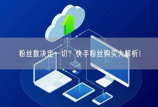 粉丝数决定一切？快手粉丝购买大解析！