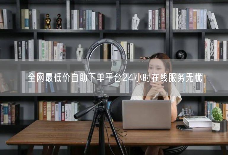 全网最低价自助下单平台24小时在线服务无忧
