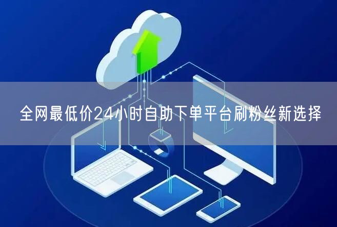 全网最低价24小时自助下单平台刷粉丝新选择