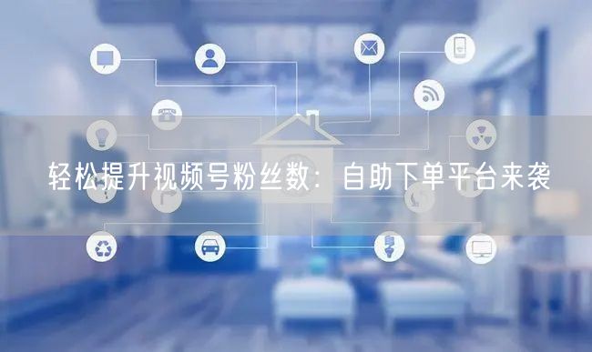 轻松提升视频号粉丝数：自助下单平台来袭