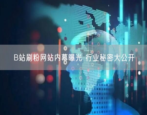 B站刷粉网站内幕曝光 行业秘密大公开