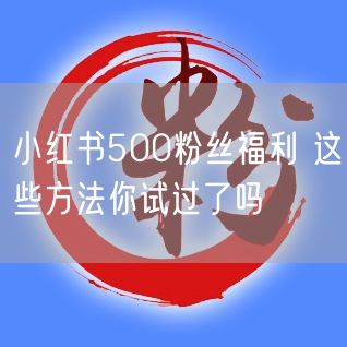 小红书500粉丝福利 这些方法你试过了吗